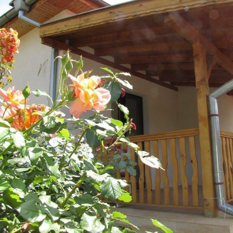 Guest House Vergie Saparewa Banja Exterior foto